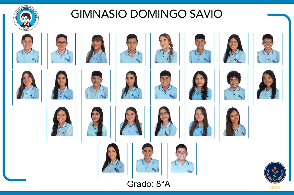 2025_GRADO8°A