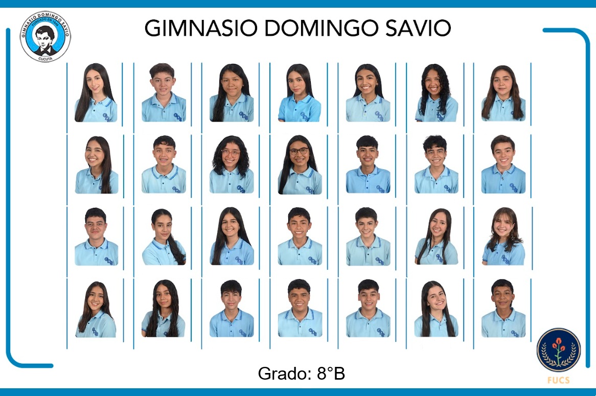 2025_GRADO8°B